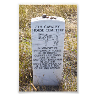 7:e Cavalry Horse Cemetery Memorial Fototryck