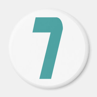 #7 - falskt fett magnet