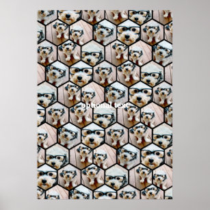 7 Fotokollage - svart funky hexagon mönster Poster