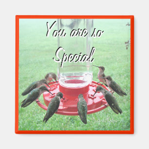 7 hummingbirds skräddarsy magnet