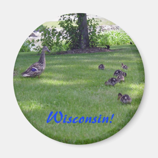 7 Little Ducklings Magnet (Framsidan)
