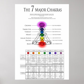 7 Major Chakras Poster