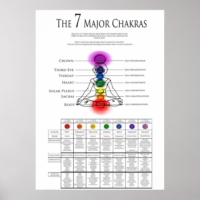 7 Major Chakras Poster (Framsidan)