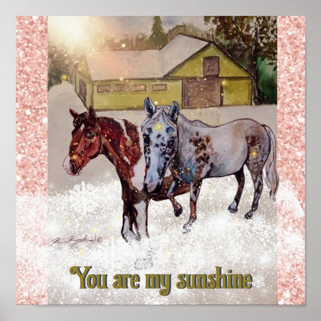 7 och Nokomis, du är min solsken Poster (Framsidan)