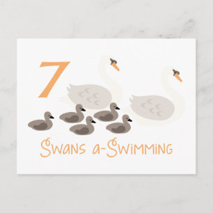 7 Svanar a Swimming Vykort