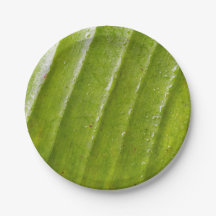 7-tums rund Papper plåt med ren Banana Löv