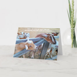 7-tums x5-mappat kort || Hej, Hay! Var är min?