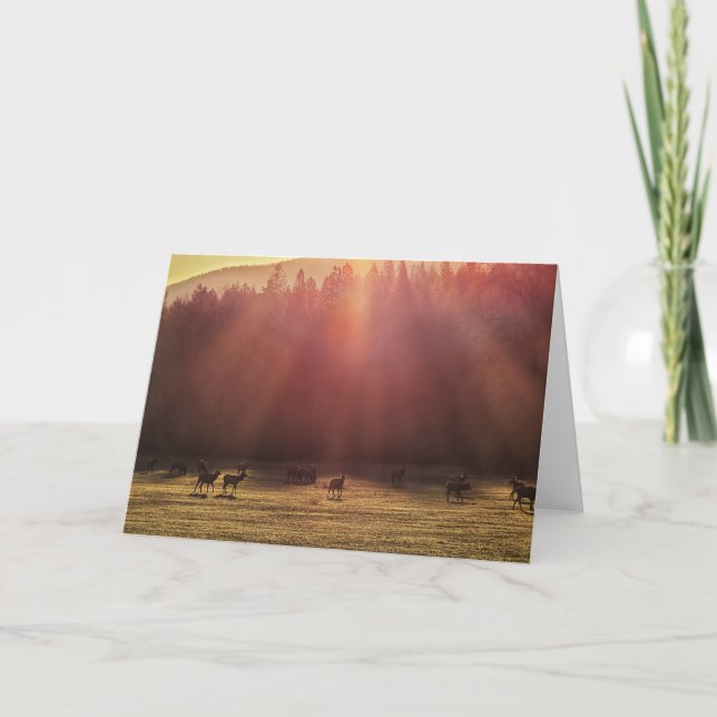7-tums x5-mappat kort || Red Dawn Elk (Framsida)