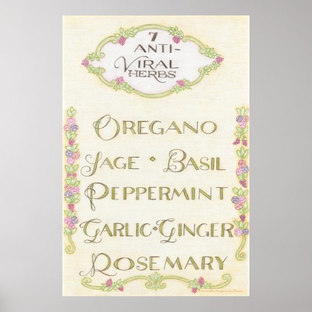 7 Virushämmande Örter Poster (Framsidan)