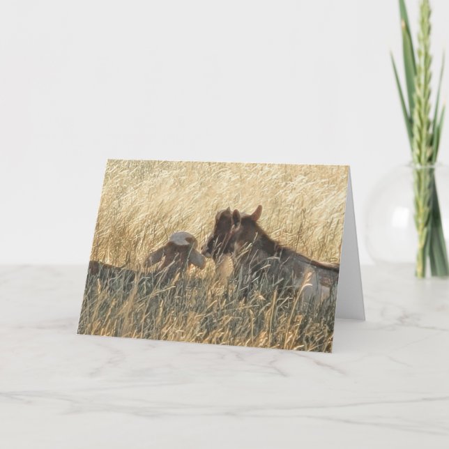 7"x5"-mappat kort|| Scout och pussel Kort (Framsida)