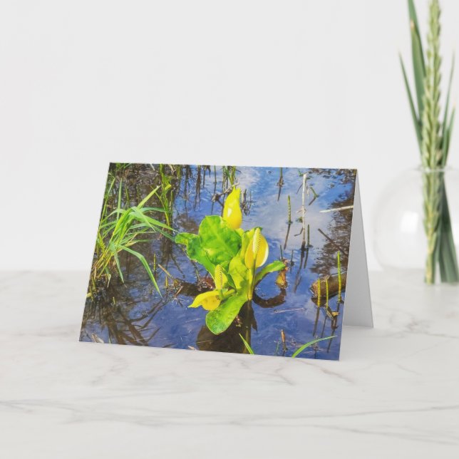 7"x5"-mappat kort|| Skunkkål Kort (Framsida)