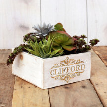 7 x 7 Vit Tvätta Engraved Wood Planter Box