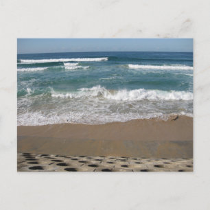 #8025 Strand Vykort