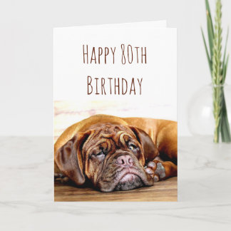 80:e födelsedagseftermiddagen Hund Viktigt Humor Kort