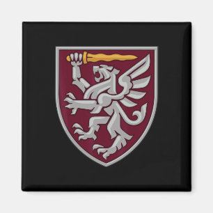 80:e luftmobila brigaden (Ukraina) Ukrainska milit Magnet