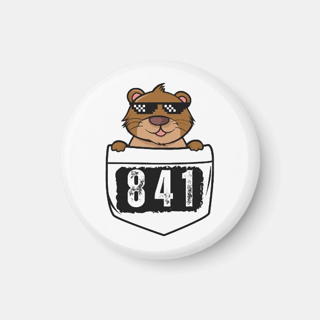 841 MAGNET (Framsidan)