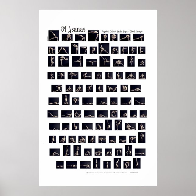 84 Asanas Poster (Framsidan)