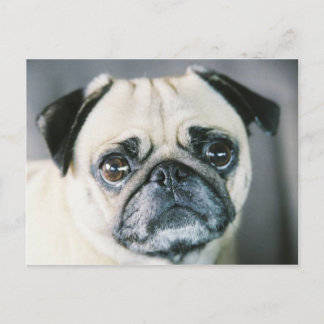 850203-R1-017-7 VYKORT