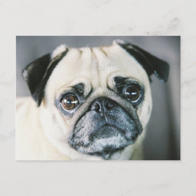 850203-R1-017-7 VYKORT (Framsida)