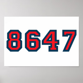8647 Antitrumpmotstånd Poster