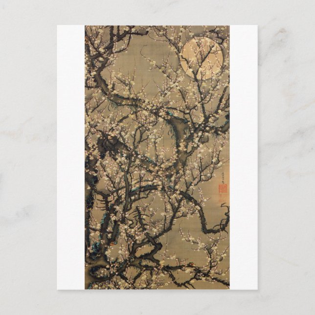 8 梅 花 晧 図, 若 Måne och Plum blommar, Jakuchū Vykort (Framsida)