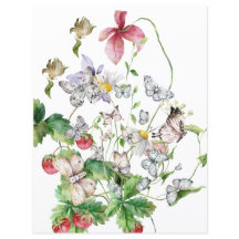 8,5 tum x 11 tum Papper Lakan