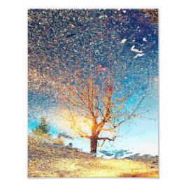 8,5" x11" fotoutskrift || Cherry Träd Puddle Fototryck