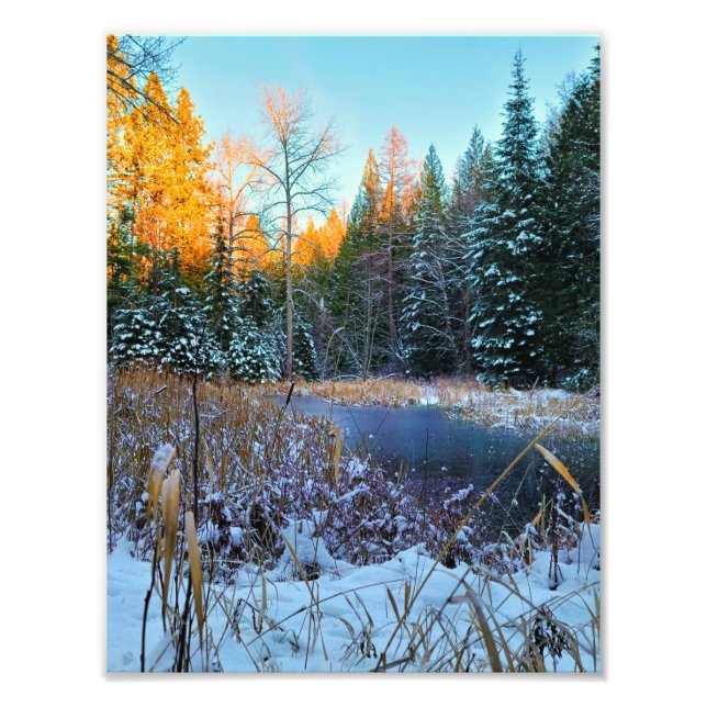 8,5" x11" fotoutskrift || Senaste ljus Fototryck (Framsidan)