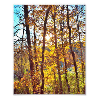 8 by 10 my view fototryck