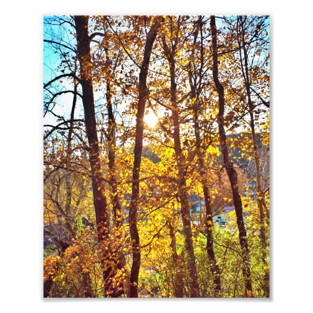 8 by 10 my view fototryck (Framsidan)