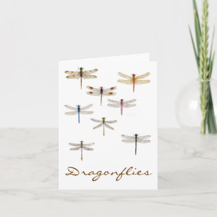 8 Dragonflugor Kort