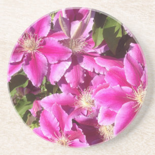 8:e årsdagen, Clematis Underlägg
