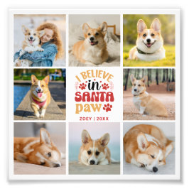 8 Fotocollage Husdjur Santa Paws Foto Förstoring