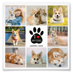 8 Fotokollage Jag älskar min hund Foto förstoring