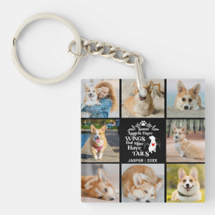 8 Fotokollage Pet Hund Loss-minne