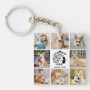 8 Fotokollage Pet Hund Loss-minne