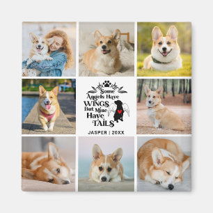 8 Fotokollage Pet Hund Loss-minne Magnet