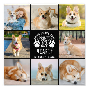 8 Fotokollage Pet-minne Fotoutvidgning Fototryck