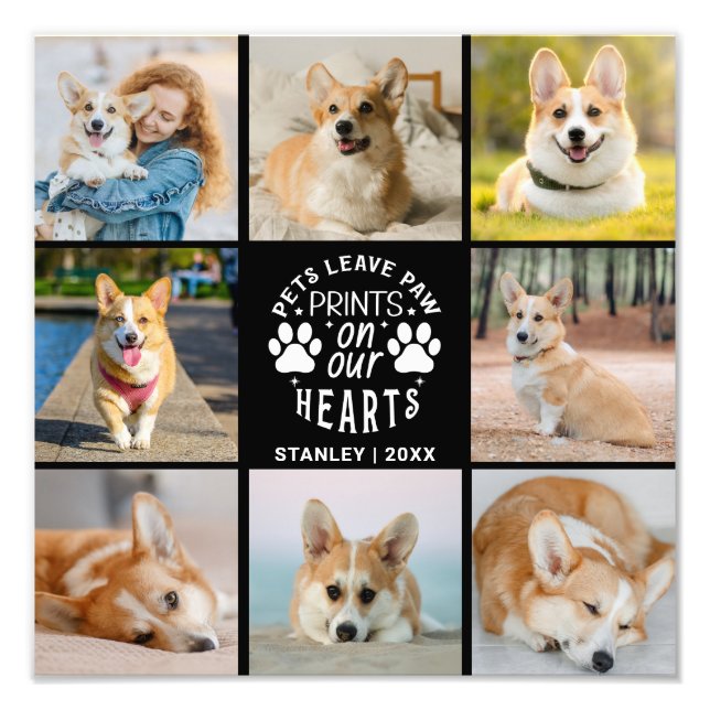 8 Fotokollage Pet-minne Fotoutvidgning Fototryck (Framsidan)