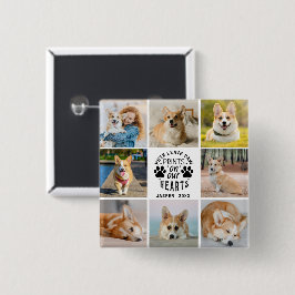 8 Fotokollage Pet-minnesminne Knapp