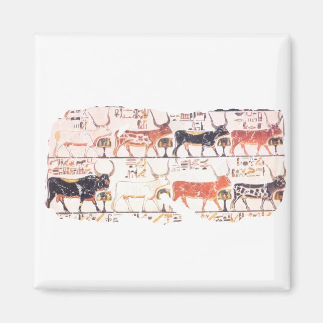 8 kor magnet (Framsidan)