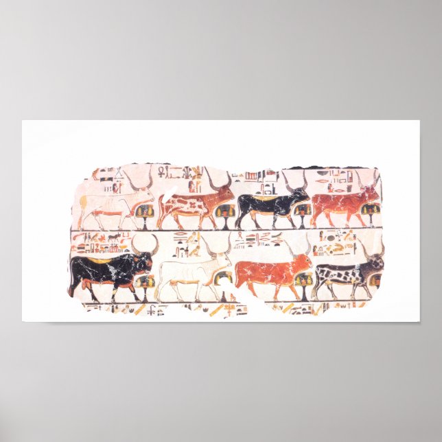 8 kor poster (Framsidan)