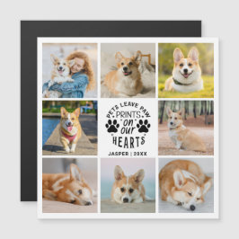 8 Magnetkort för fotokollage Pet Memory