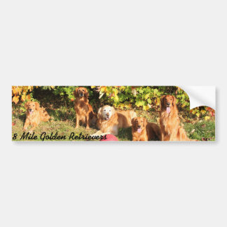 8 Mn stötdekal för Golden Retriever Bildekal