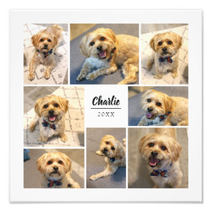 8 Photo Collage Personlig Photo Print Fototryck