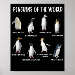 8 Sällsynta Penguins of the World Funny Animals Poster