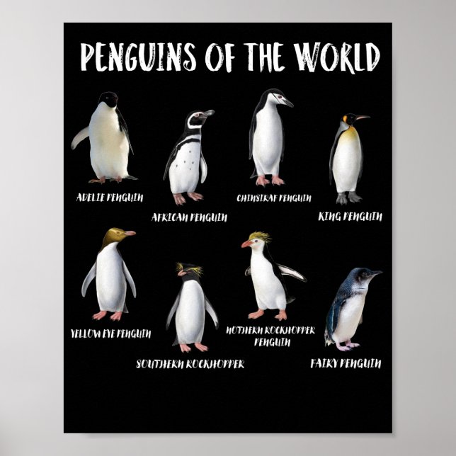 8 Sällsynta Penguins of the World Funny Animals Poster (Framsidan)