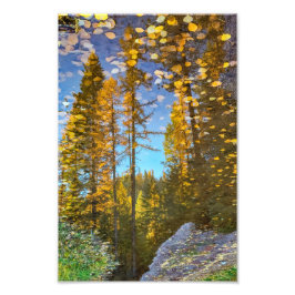 8"x12" fotoutskrift || Bergspudla Fototryck