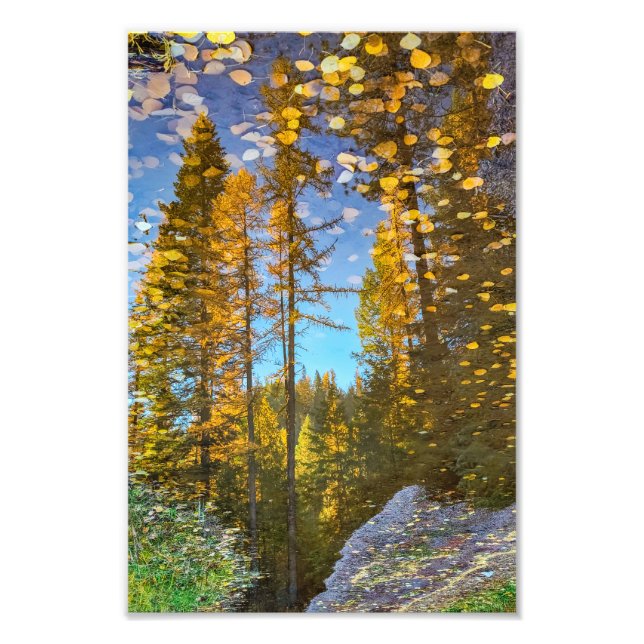 8"x12" fotoutskrift || Bergspudla Fototryck (Framsidan)