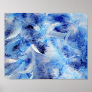 8 x 10 Fluffy Feathers Poster